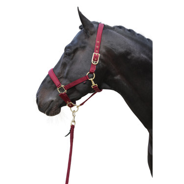 Halster Classy Covalliero Halster Classy Covalliero