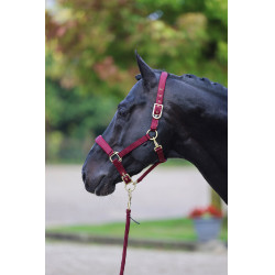 Halster Classy Covalliero Halster Classy Covalliero