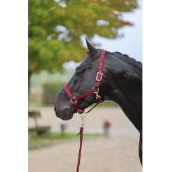 Halster Classy Covalliero Halster Classy Covalliero