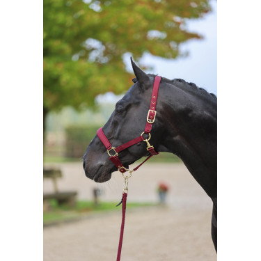 Halster Classy Covalliero Halster Classy Covalliero
