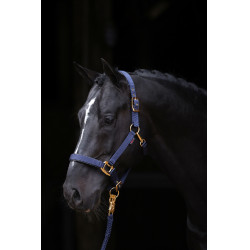 Halster TopLine Covalliero Halster TopLine Covalliero