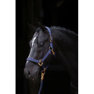 Halster TopLine Covalliero Halster TopLine Covalliero