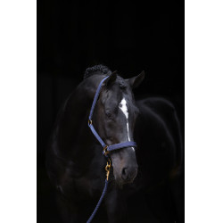 Halster TopLine Covalliero Halster TopLine Covalliero