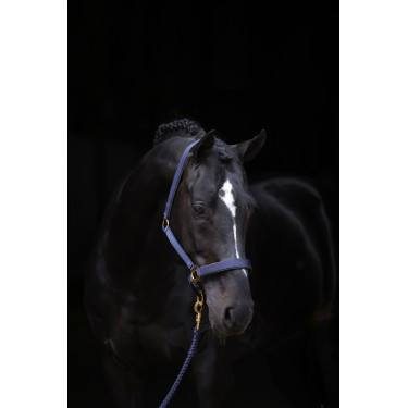Halster TopLine Covalliero Halster TopLine Covalliero