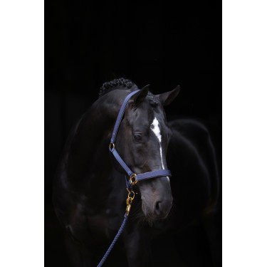 Halster TopLine Covalliero Halster TopLine Covalliero