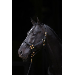 Halster TopLine Covalliero Zwart