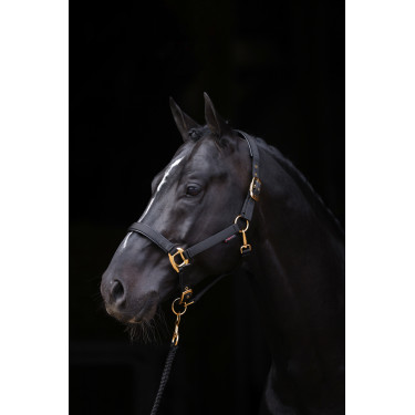 Halster TopLine Covalliero Zwart