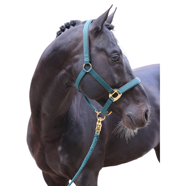 Halster TopLine Covalliero Halster TopLine Covalliero