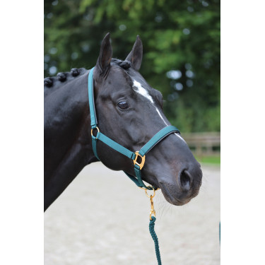 Halster TopLine Covalliero Halster TopLine Covalliero