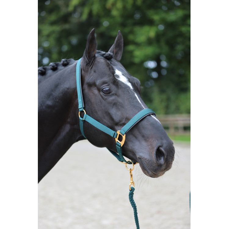 Halster TopLine Covalliero Halster TopLine Covalliero
