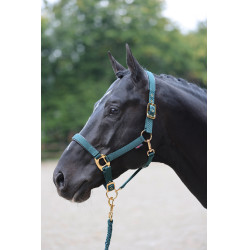Halster TopLine Covalliero Halster TopLine Covalliero