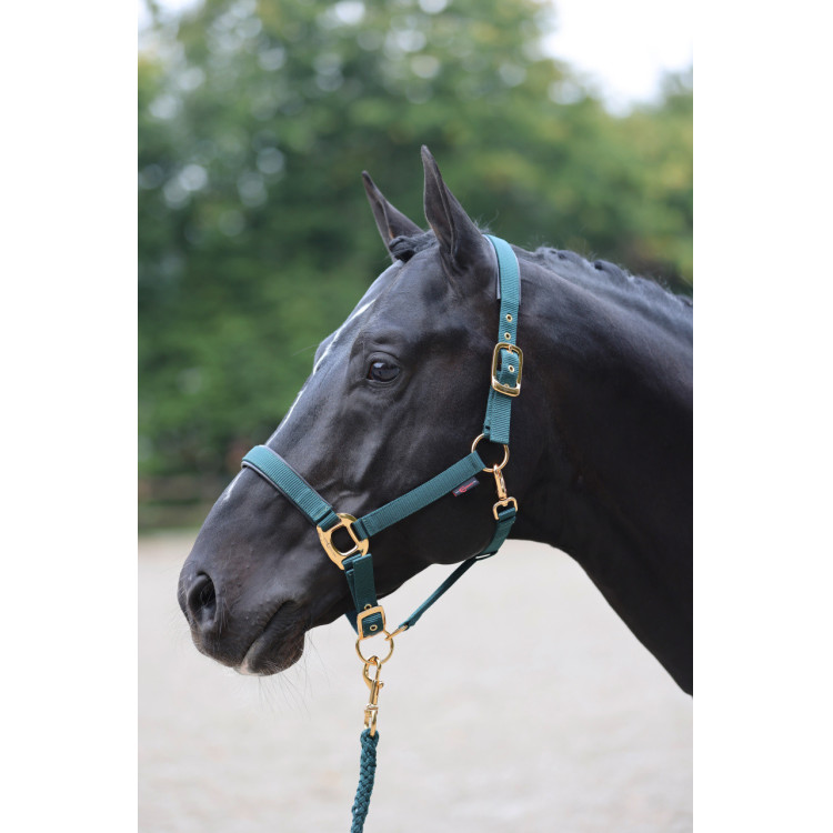 Halster TopLine Covalliero Halster TopLine Covalliero