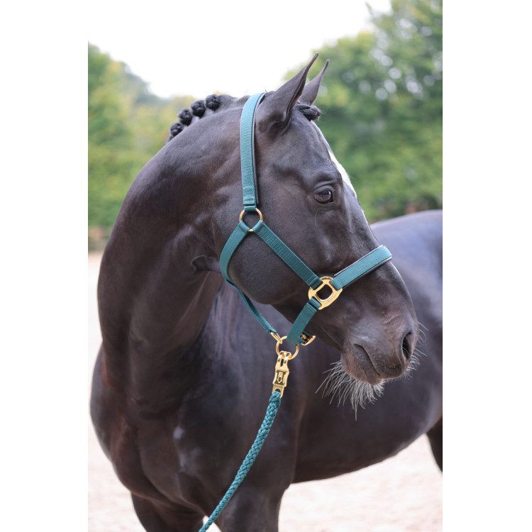 Halster TopLine Covalliero Halster TopLine Covalliero