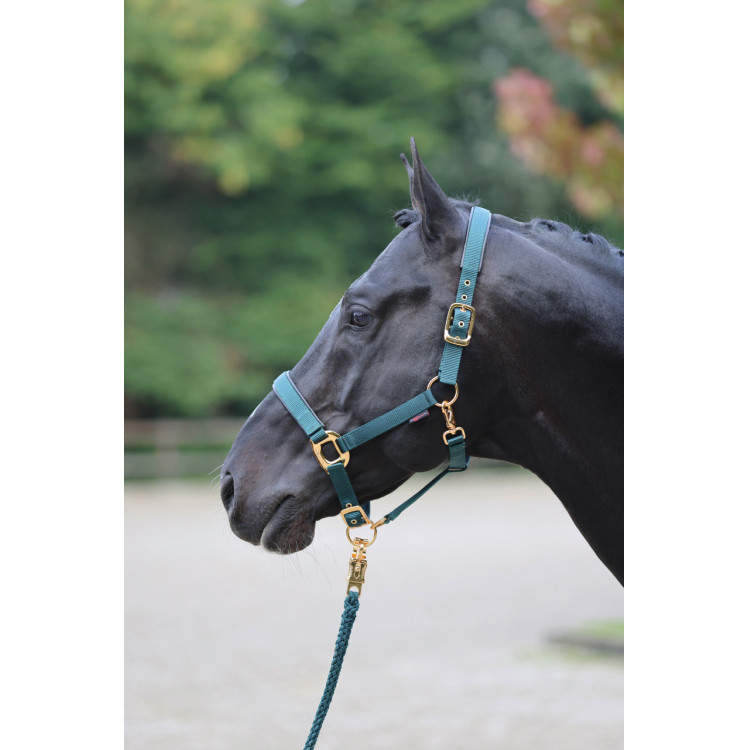 Halster TopLine Covalliero Halster TopLine Covalliero