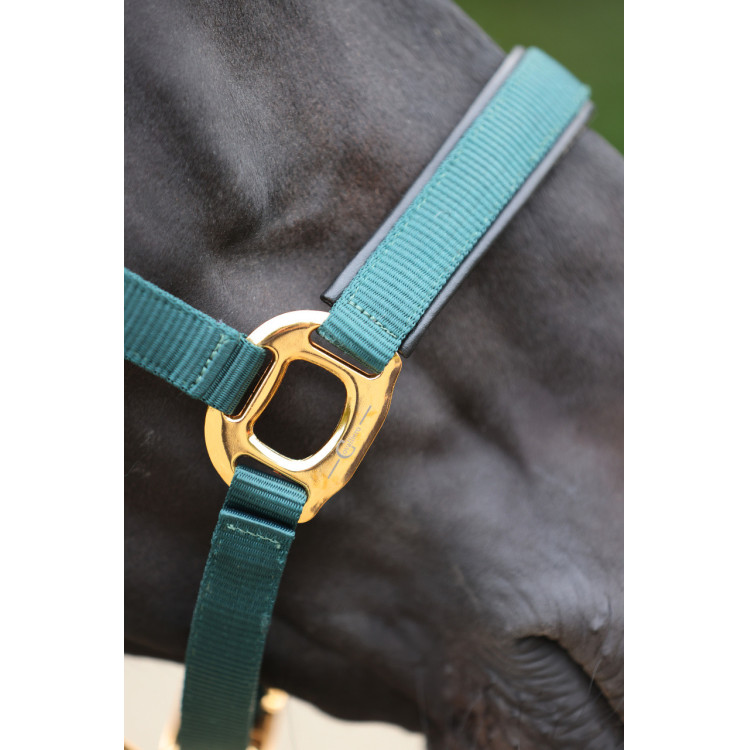 Halster TopLine Covalliero Halster TopLine Covalliero