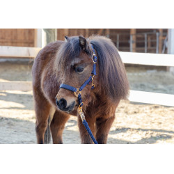 Veulenhalster TopLine Covalliero Marineblauw Veulenhalster TopLine Covalliero Marineblauw