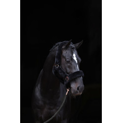 Halster SuperSoft Covalliero Halster SuperSoft Covalliero