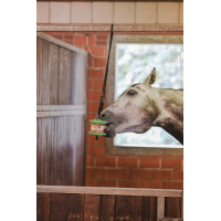 Spielzeug Delizia® Sandwich Kerbl Wortel