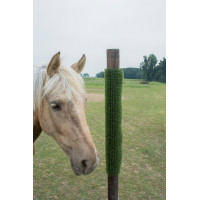 KratzPad Kerbl krab- en reinigingsplaat Groen