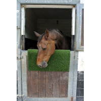 KratzPad Kerbl krab- en reinigingsplaat Groen