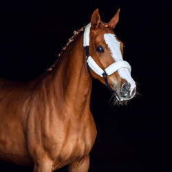 Schapenvacht halster Horze Lincoln Jurk blauw / gebroken wit Schapenvacht halster Horze Lincoln Jurk blauw / gebroken wit