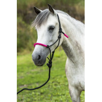 ETHOLOGISCHE HALSTER + FUN COLOUR LIJN Neonfuchsia