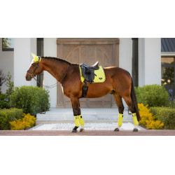 LeMieux Loire Classic Dressuur Vierkant Kiwi Kaki LeMieux Loire Classic Dressuur Vierkant Kiwi Kaki