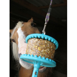 Pierre à lécher Likit