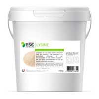 Lysine + ESC Laboratoire Lysine + ESC Laboratoire