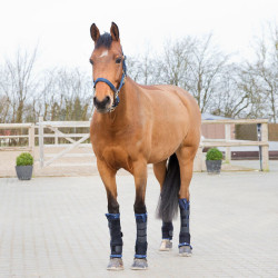 Horze PRO stalbandages, achterbenen Horze PRO stalbandages, achterbenen