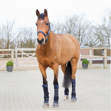 Horze PRO stalbandages, achterbenen Horze PRO stalbandages, achterbenen
