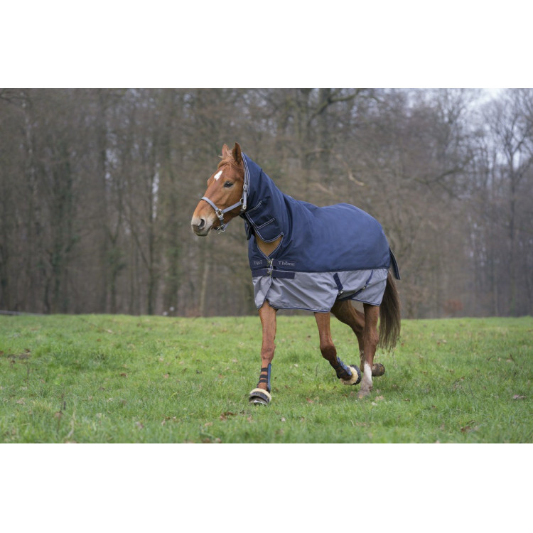 Equithème Tyrex 600D Combo 350g deken Equithème Tyrex 600D Combo 350g deken