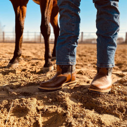 Bottes western Pro-tech West