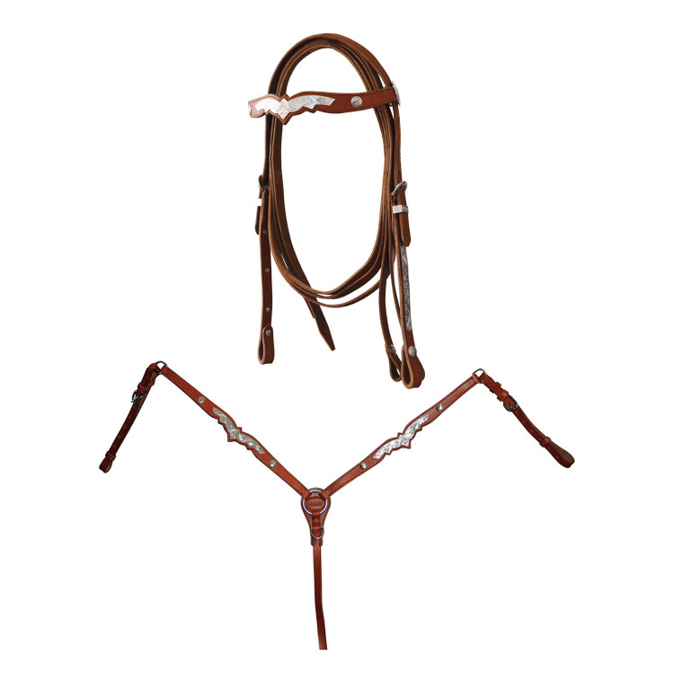 Western hoofdstel Lakota met borstriem en teugels versierd met zilverdecoraties Western hoofdstel Lakota met borstriem en teugels versierd met zilverdecoraties