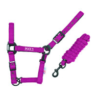 Nylon halster Pool's zwarte gespen met touw Zwart