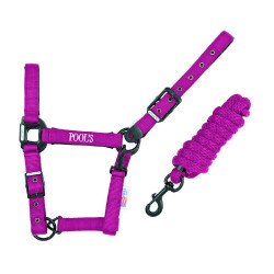 Nylon halster Pool's zwarte gespen met touw Fuchsia Roze