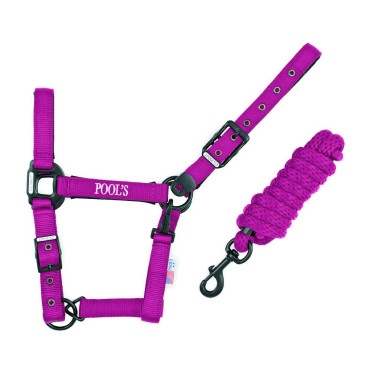 Nylon halster Pool's zwarte gespen met touw Fuchsia Roze