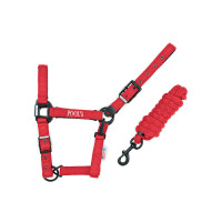 Nylon halster Pool's zwarte gespen met touw Zwart