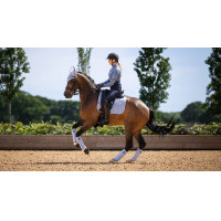 Luxe fleece polobandages voor paardentraining