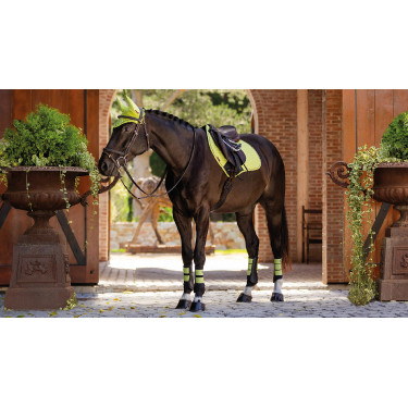 LeMieux Suede Close Contact Vierkant Zadeldek LeMieux Suede Close Contact Vierkant Zadeldek