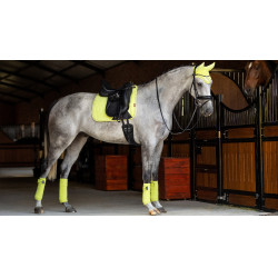 LeMieux Suede Dressuur Zadeldek Kiwi Kaki