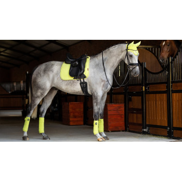 LeMieux Suede Dressuur Zadeldek Kiwi Kaki