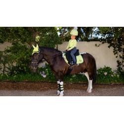 Mini LeMieux Suede Jump Vierkant Tapis Kiwi Kaki