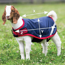 Illustratie van de maattabel voor Huisdieren Horseware